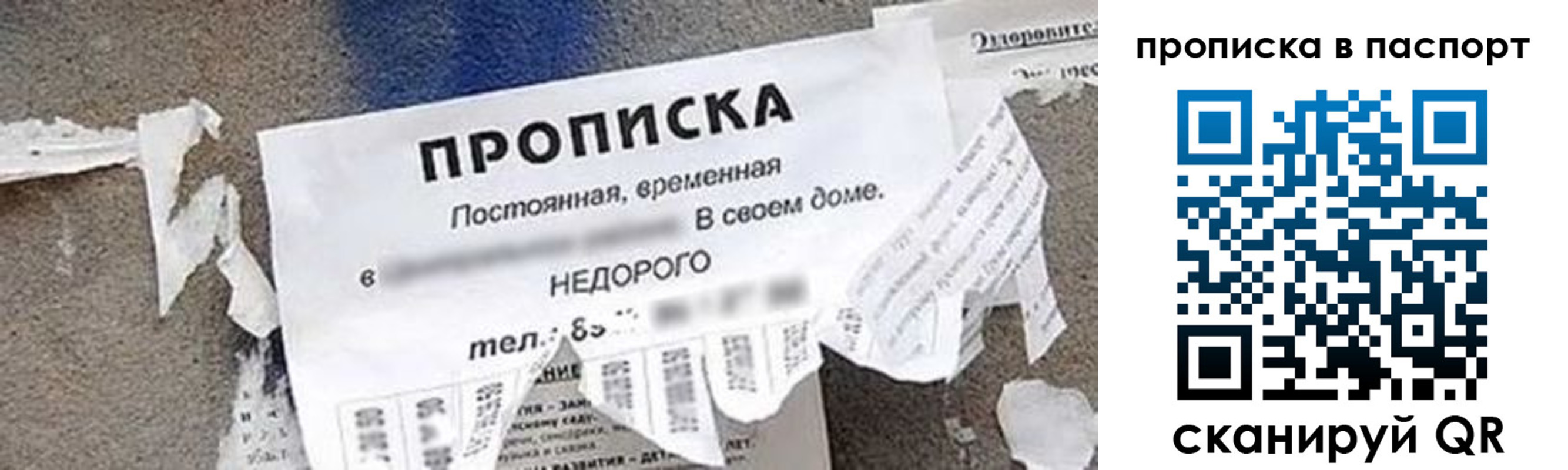 где прописаться в Опочке